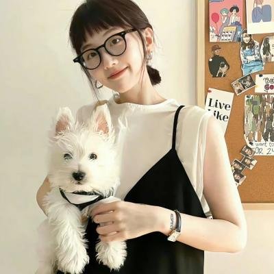 双龙会